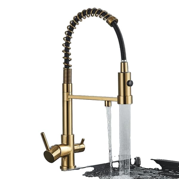 Filtered Water Køkkenarmatur, Dobbelt Håndtag, Utrækkelig Sprayfunktion,Børstet Guld