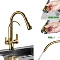Miniatyrbillede 1 af 2: Filtered Water Kitchen Faucet, Dual Handle Design, Pull-Out Spray Feature,Guld