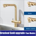 Miniatyrbillede 2 af 2: Filtreret køkkenarmatur, dobbelt sprøjtefunktion, moderne design,Børstet Guld opgradering