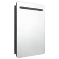 Miniatyrbilde 3 av 7: vidaXL LED-speilskap til bad blank svart 60x11x80 cm