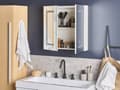 Miniatyrbilde 2 av 7: Baderomsspeilskap med LED White 60 x 60 cm Moderne