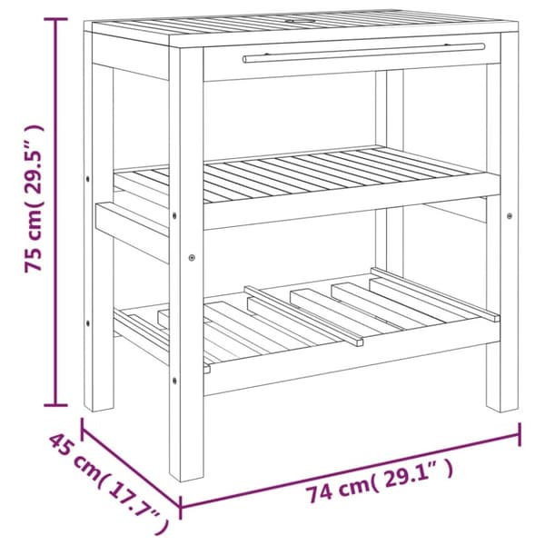 Badrumsunderskåp - Living Badrumsunderskåp med 2 hyllor 74x45x75 cm massivt trä