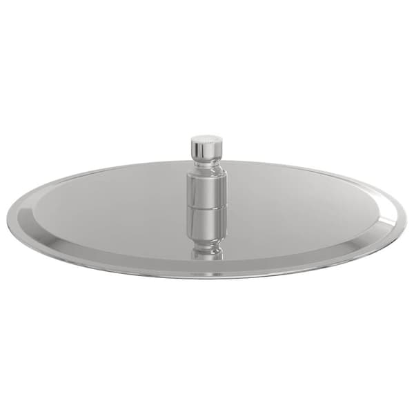 vidaXL Regnduschhuvud rostfritt stål 304 25 cm runt
