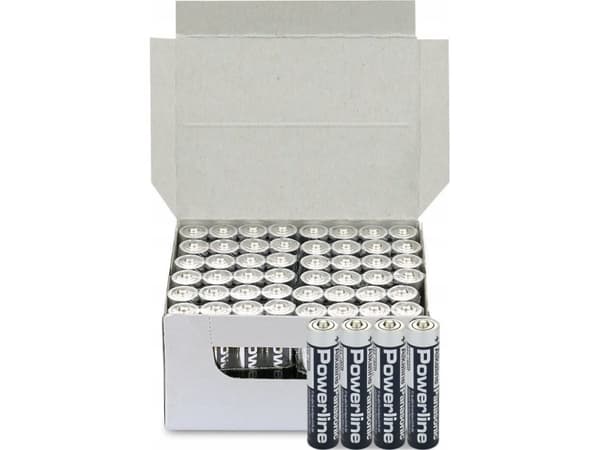 Panasonic Powerline LR03AD/4P - Batteri 48 x AAA - alkaliskt