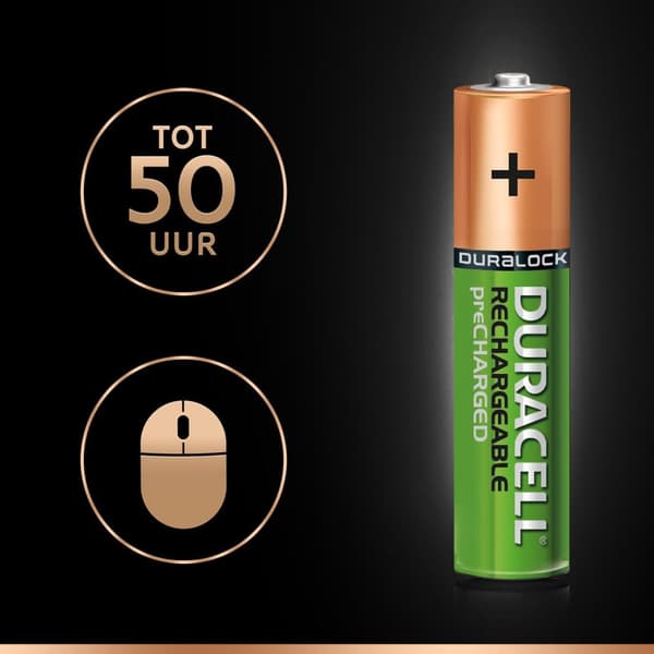 Duracell StayCharged - Batteri 4 x AAA NiMH 800 mAh (DUR203822)