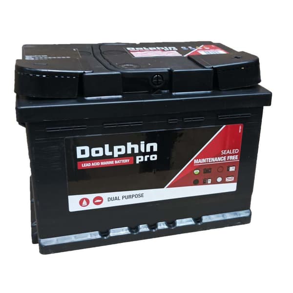 Dolphin Batteri 60ah 12v Transparent 24.3 x 17.5 x 17.5 cm