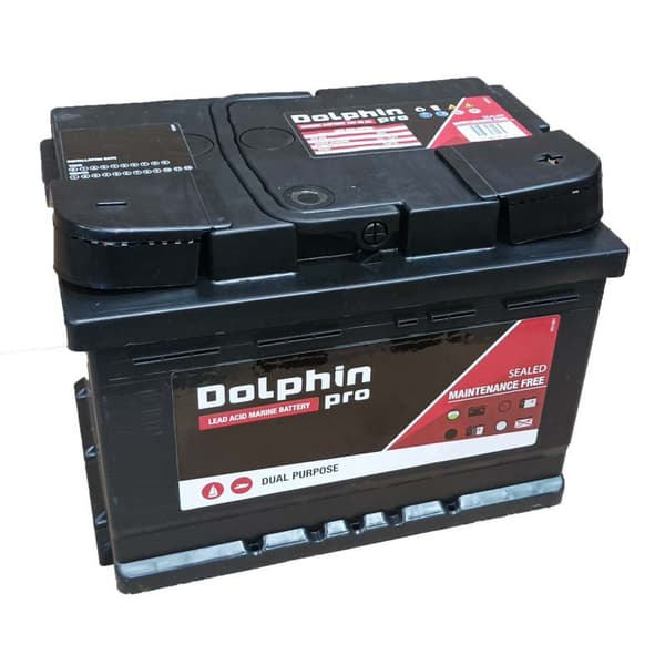 Dolphin Batteri 60ah 12v Transparent 24.3 x 17.5 x 17.5 cm