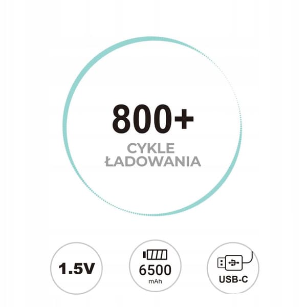LiiBattaries KRAFTFULL UPPLDDNINGSBART BATTERI LITIUM-JON BATTERI D USB-C 2st. 6500mAh.