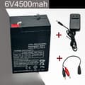 Miniatyrbillede 2 af 4: 6V blysyrebatteri, 4500mAh kapacitet, kompakt størrelse, letvægtsdesign