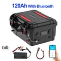 Miniatyrbillede 2 af 2: LiFePO4-batteri, 100Ah/120Ah kapacitet, Bluetooth-aktiveret,120Ah med bluetooth