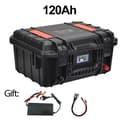 Miniatyrbillede 2 af 2: LiFePO4-batteri, 100Ah/120Ah kapacitet, Bluetooth-aktiveret,Orange 120Ah Batteri