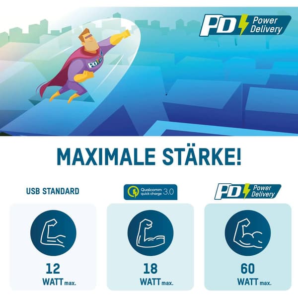 Ansmann Home Charger 254PD USB-laddare 65 W 1x USB-A, 1x USB-C® Power Delivery Svart Inomhus GaN
