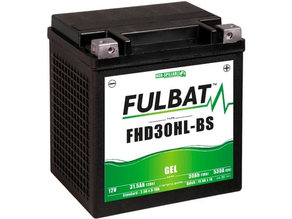 Fulbat batteri 30 Ah 12V