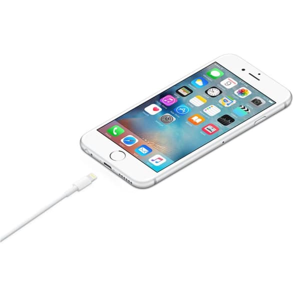 Apple Charge Data Light 1mt Mxly2