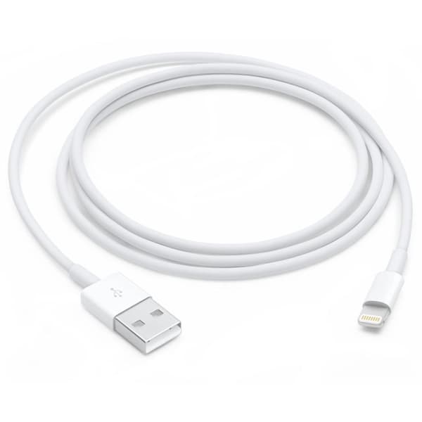 Apple Charge Data Light 1mt Mxly2