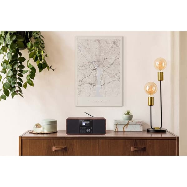 TELESTAR DIRA S 24i Monitoiminen Stereoradio DAB+ / FM / Internet / Bluetooth Puu