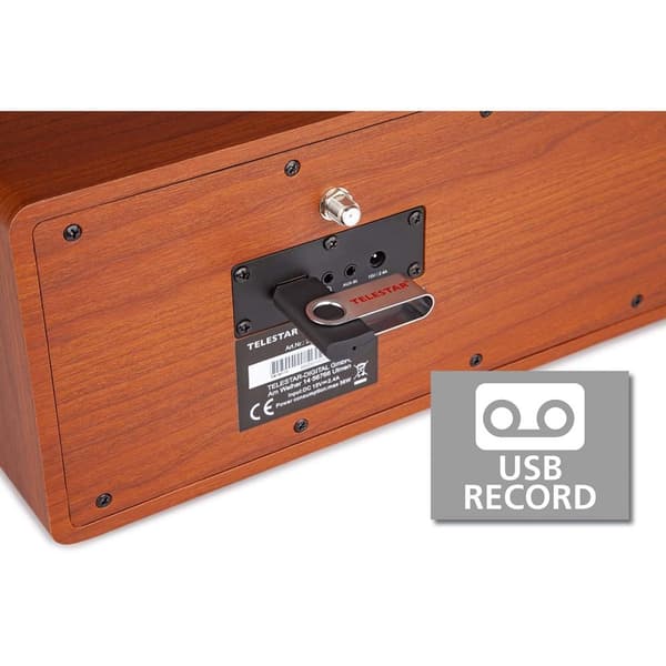 TELESTAR DIRA S32i CD EWF Monitoiminen stereoradio CD-soittimella DAB+ / FM / Internet / Bluetooth Puu