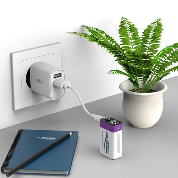 Ansmann genopladeligt batteri 9-vejs og USB-C
