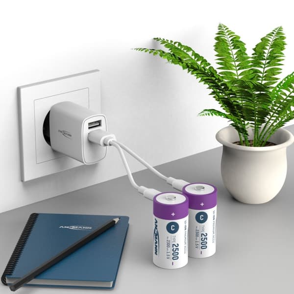 Ansmann genopladeligt batteri C og USB-C
