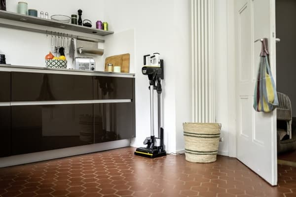 Beaphar rentouttava kaulapanta koirille - 65 cm