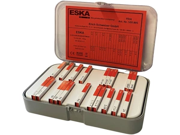 ESKA Bilsäkringshållare 200 st