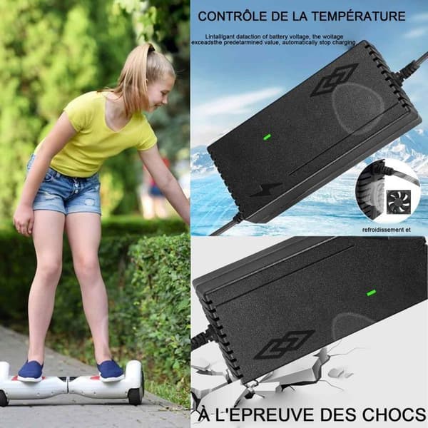 Elektrisk skoterladdare 54,6V 2A för li-ion batteri 24V 48V elcykel skoter motorcykel flerskydd batteriladdare
