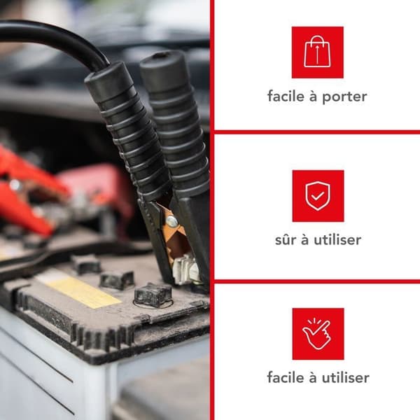 Batteriladdare - Ej specificerad - 12/24V - Bärbar - Överbelastningsskydd - Integrerad amperemeter