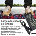 Miniatyrbild 4 av 4: INN Laddare 36V/42V2A universell för elektrisk balansbil med två hjul på 6,5 tum och 10 tum Europeisk laddare