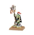Miniatyrbild 3 av 3: NY! Goblin Shaman Orc & Goblin Tribes The Old World Warhammer