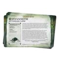Miniatyrbild 2 av 3: NY! Faction Pack Sylvaneth Warhammer Age of Sigmar