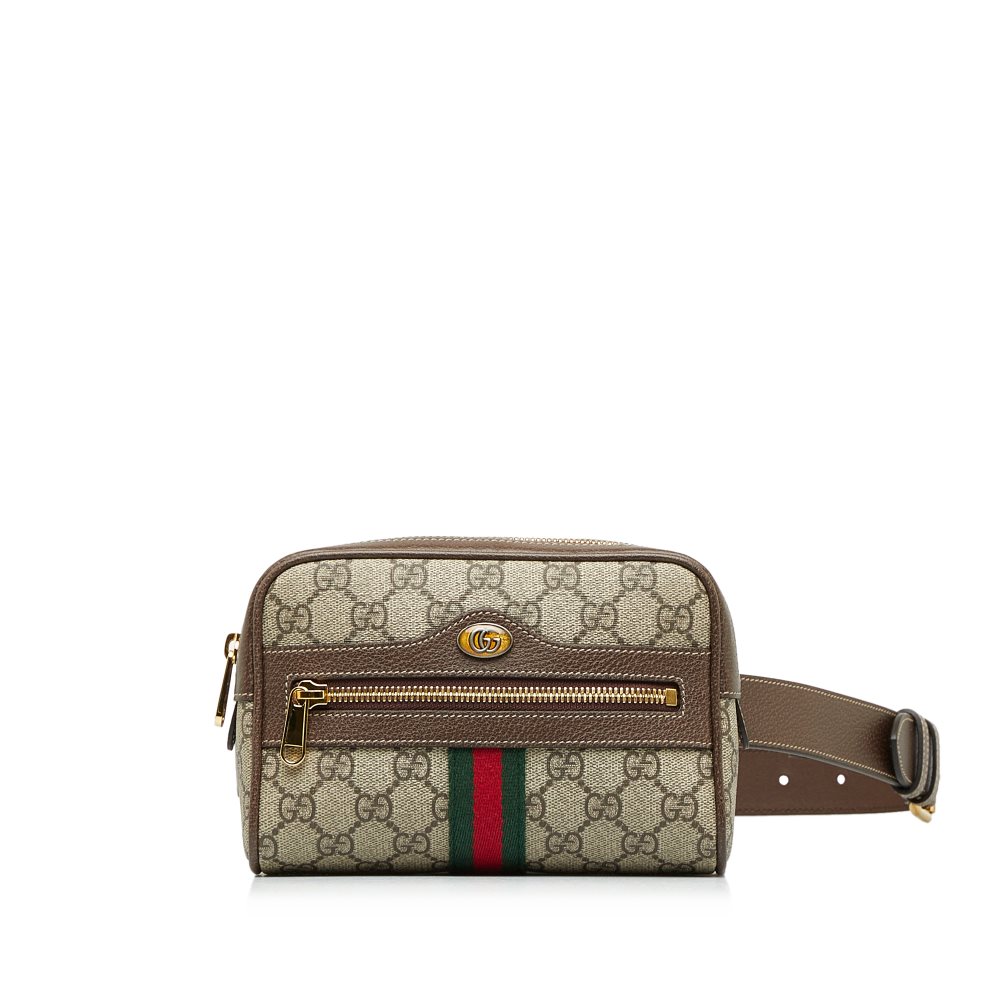 Gucci ophidia belt bag hotsell