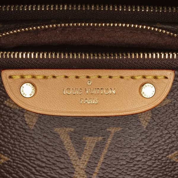 Pre-owned Louis Vuitton Monogram Mini Bumbag Brown