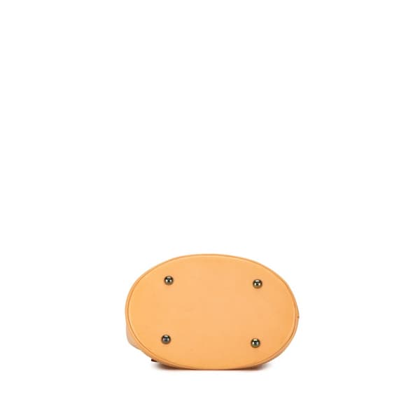Pre-owned Louis Vuitton Nomade Petit Bucket Brown