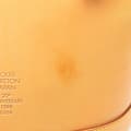 Miniatyrbilde 10 av 10: Pre-owned Louis Vuitton Nomade Petit Bucket Brown