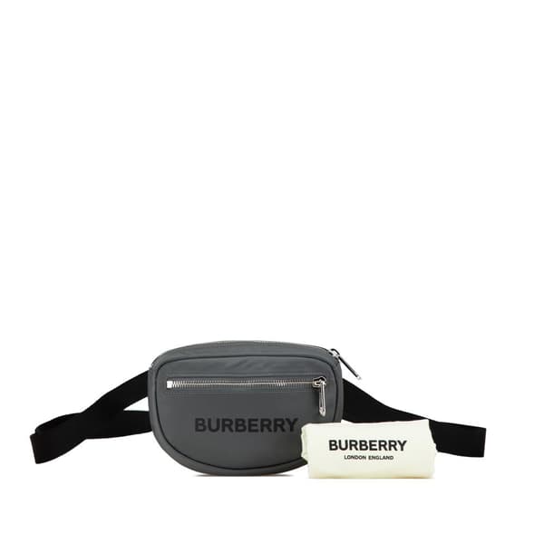 Pre-owned Burberry Nylon Cannon Bumbag Gray