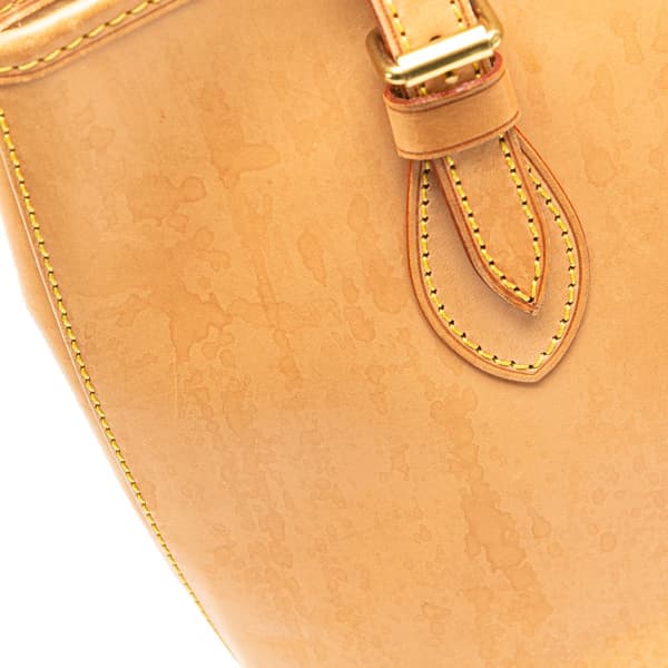Pre-owned Louis Vuitton Nomade Petit Bucket Brown
