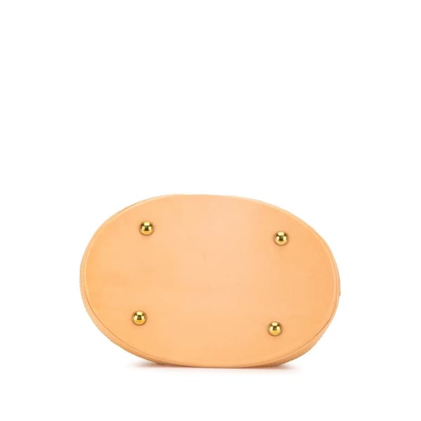 Pre-owned Louis Vuitton Nomade Petit Bucket Brown