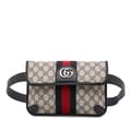 Miniatyrbild 1 av 10: Pre-owned Gucci GG Supreme Ophidia Belt Bag Brown
