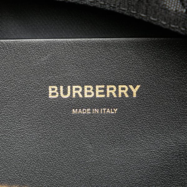 Pre-owned Burberry TB Monogram Nylon Sonny Belt Bag Brown