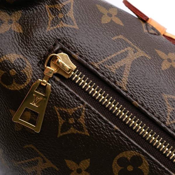 Pre-owned Louis Vuitton Monogram Bumbag Brown