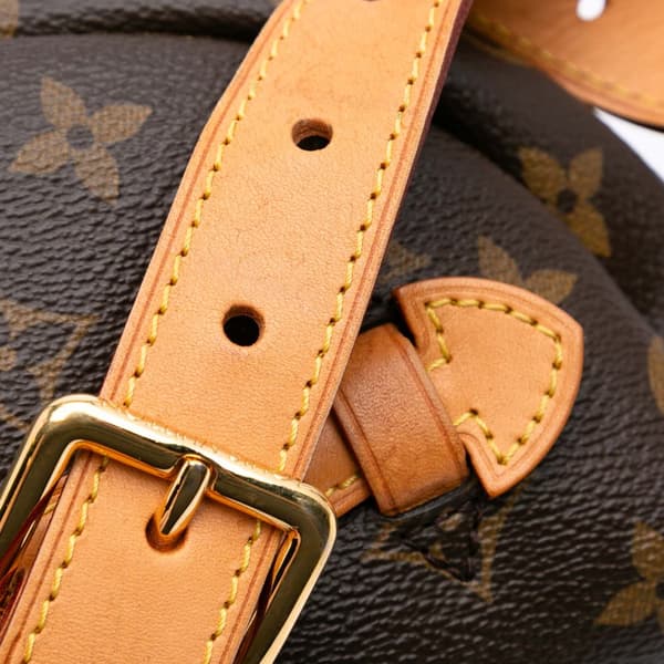 Pre-owned Louis Vuitton Monogram Bumbag Brown