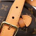 Pikkukuva 9 / 10: Pre-owned Louis Vuitton Monogram Bumbag Brown