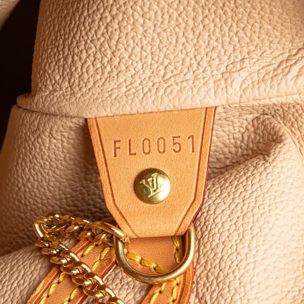 Pre-owned Louis Vuitton Monogram Bucket GM Brown