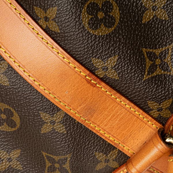 Pre-owned Louis Vuitton Monogram Randonnee PM Brown