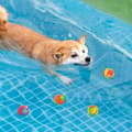 Miniatyrbillede 4 af 5: Moorle Organic Beach & Pool Spabade | Genanvendelig, blød til børn og dyr | Sjov sommeraktivitet