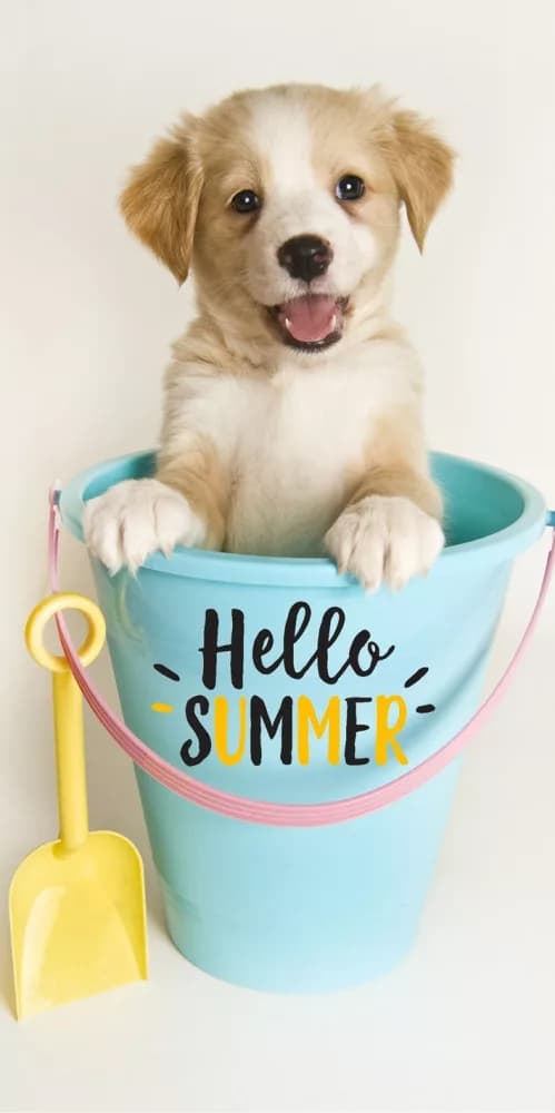 Badhandduk Hund Hello Summer 70X140cm 100% bomull