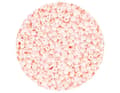 Miniatyrbild 2 av 4: Innspiro - Z14611 - Rond glas rocailles i rosavit 2,3 mm. 10/0 500 gr.