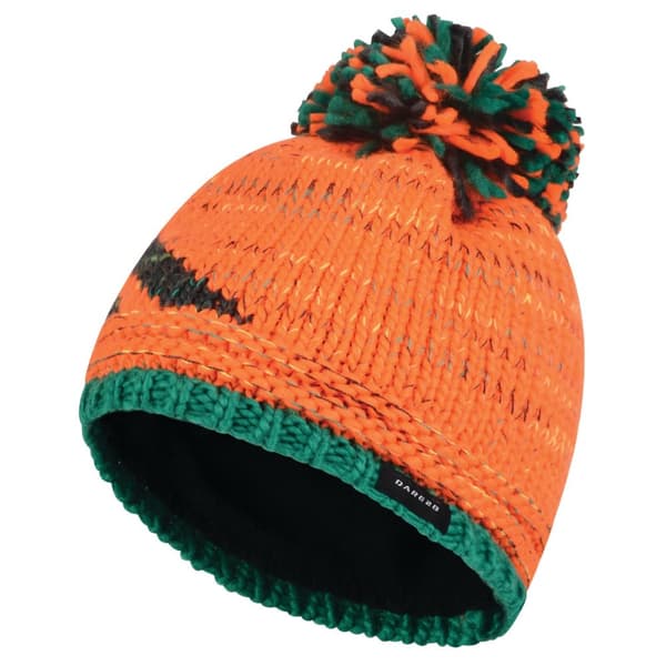 Dare 2B Kids/Childrens Ice Champ Beanie Hat