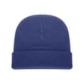 Pikkukuva 3 / 3: Absolute Apparel Knitted Turn Up Ski Hat