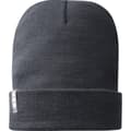 Miniatyrbilde 3 av 4: Elevate Unisex Adult Hale Polylana Beanie